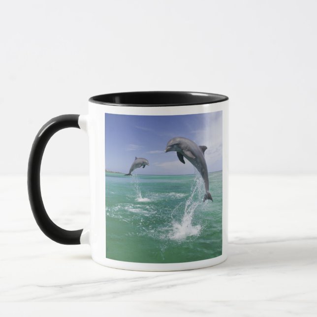 Flasknosdelfiner Tursiops truncatus Mugg (Vänster)