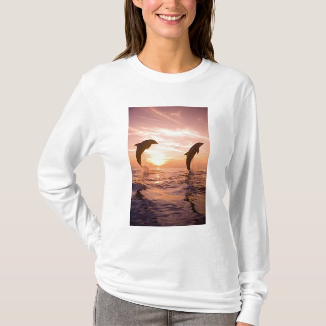 Flasknosdelfiner Tursiops truncatus Tee (Framsida)