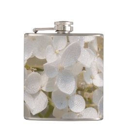 flasque, fleurs blanche fickplunta