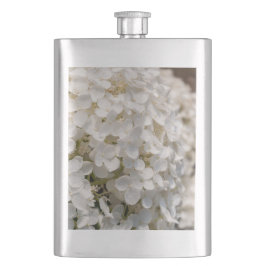 flasque, photo fleurs blanche fickplunta