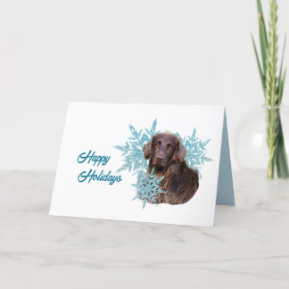 Flat Coat Retriever i snöflingorna Helgkort