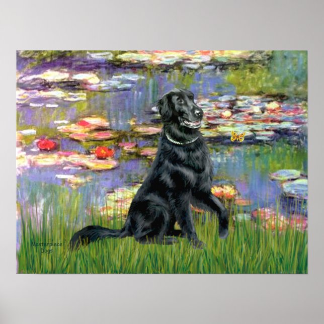 Flat Coated Retriever 2 - Näckrosor 2 Poster (Framsidan)