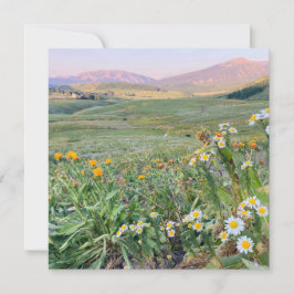 Flat Holiday Card Julkort