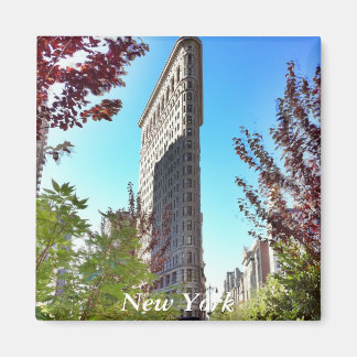 Flat järn, New York Magnet