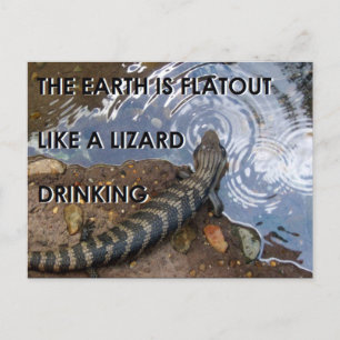 Flat Lizard-vykort - Platt jordnota Vykort