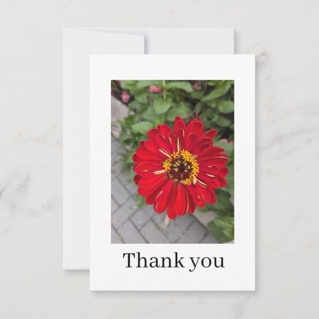 Flat Thank You Card Tack Kort (Framsida)