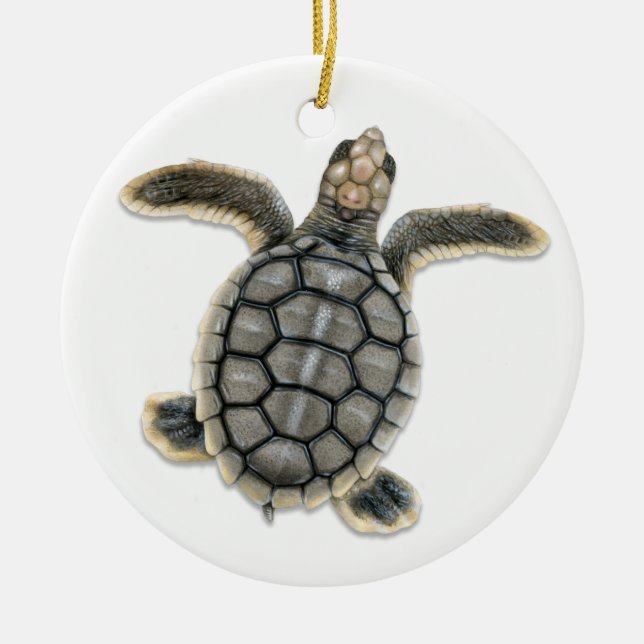 Flatback Sea Turtle Ornament (Framsidan)