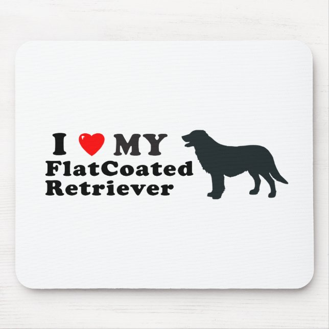 FlatCoated Retriever Musmatta (Framsidan)