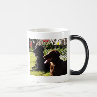 Flatcoated Retrievermugg Magisk Mugg