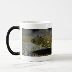 Flatfish Magisk Mugg