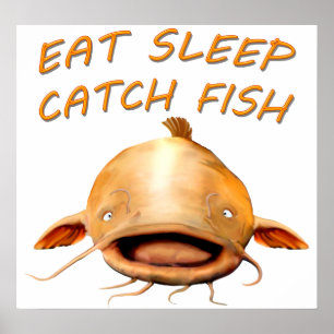 Flathead havskatt poster