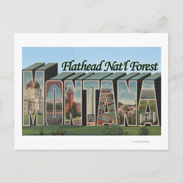 Flathead Nat'l Forest, Montana Vykort (Framsida)
