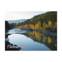 Flathead River View med berg och Fall Träd