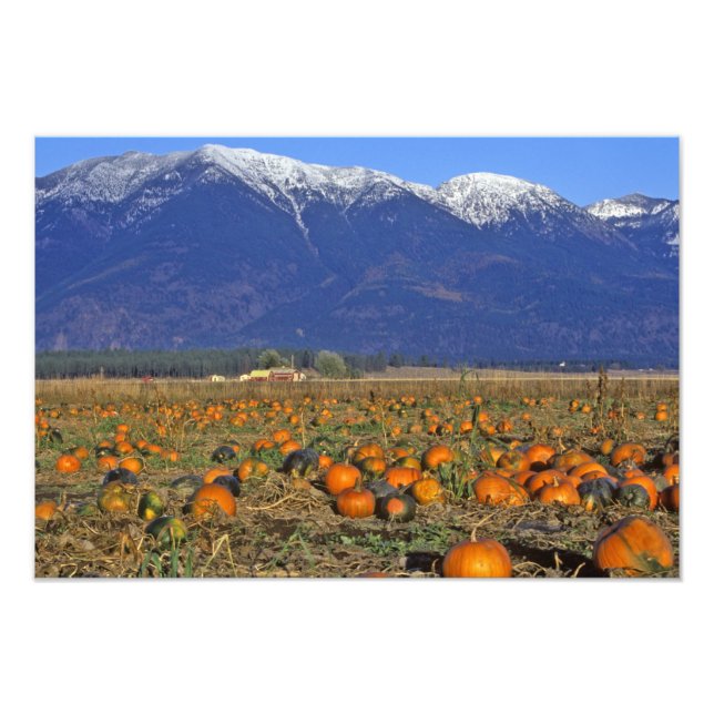Flathead Valley Montana Pumpkin-plåster Fototryck (Framsidan)