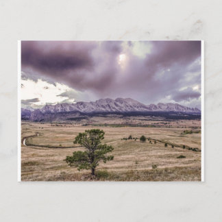 Flatironer vid solnedgång vykort