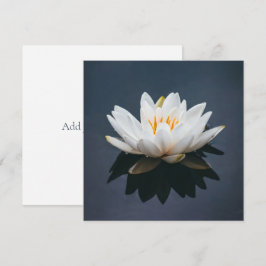 FLATKORT: LOTUS TACK KORT