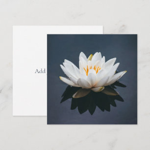 FLATKORT: LOTUS TACK KORT