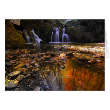 Flattor från Indien