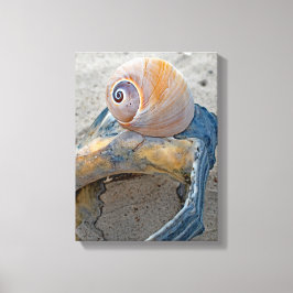 Flawed Beauties Canvastryck