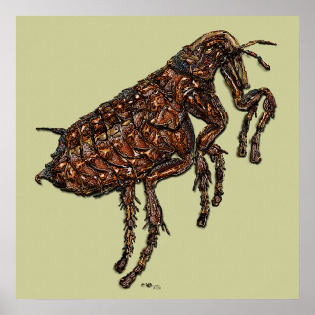 Flea Poster (Framsidan)