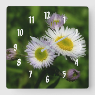 Fleabane Tiny Daisys Flower Fyrkantig Klocka