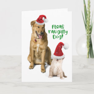 Fleas Naughty Hund Hund vid jul med Kat Helgkort