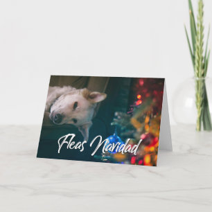Fleas Navidad Funny jul - HUND PHOTO Kort