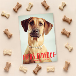 Fleas Navidog Cute Rolig hund | Helgdag Photo Julkort