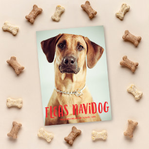 Fleas Navidog Cute Rolig hund Helgdag Photo Julkort