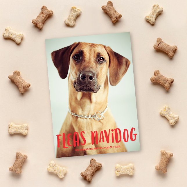 Fleas Navidog Cute Rolig hund | Helgdag Photo Julkort (Skapare uppladdad)