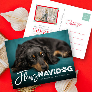 Fleas Navidog Paw Skriv ut Hund älskare Photo Funn Helg Vykort