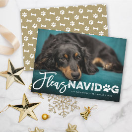 Fleas Navidog Paw Skriv ut Hund älskare Photo Funn Julkort