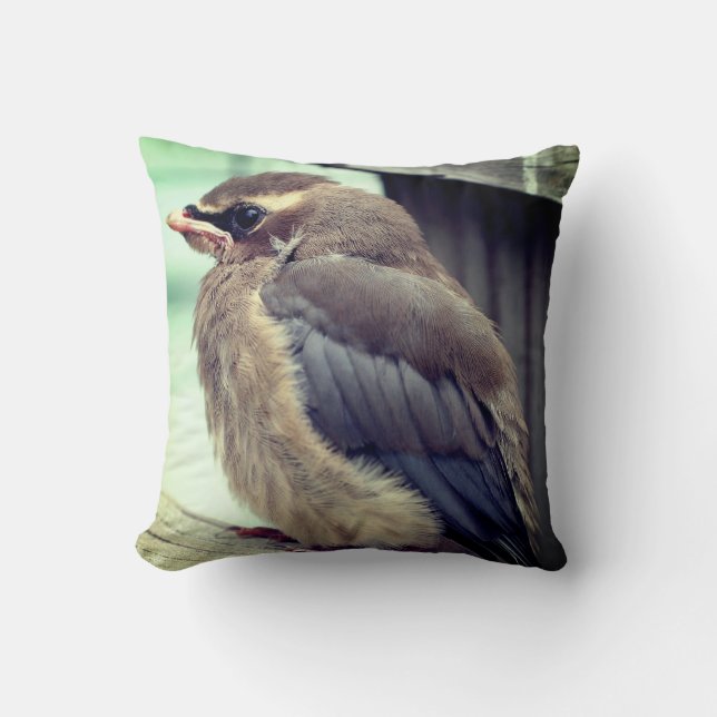 Fledgling Baby Cedar Waxwing Bird Kudde (Framsida)