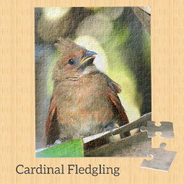 Fledgling Kardinal Baby Bird Photographic Pussel