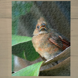 Fledlande kardinalfotografi pussel