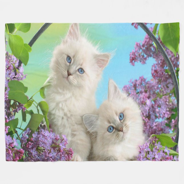 Fleece Blanket/Kittens (Framsidan (Horisontell))