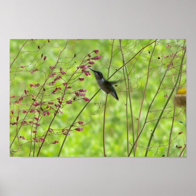 Fleeting Summer Friend Poster (Framsidan)