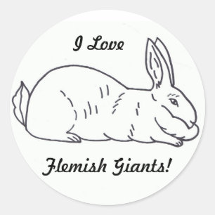 Flemish Giant Rabbit Sticker Runt Klistermärke