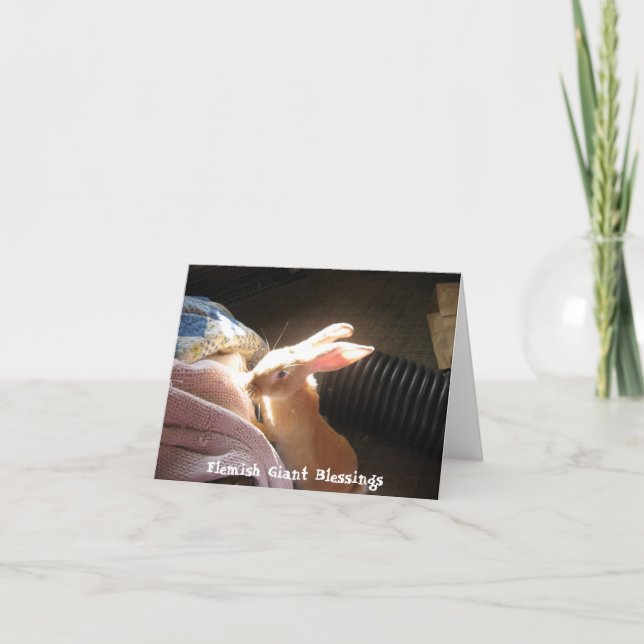 Flemish jätte- välsignelser Notecards Kort (Framsida)