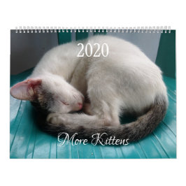 Fler Kittens väggkalender - HAMbyWG Kalender