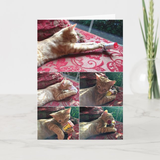 Fler media, tack kort (Framsida)