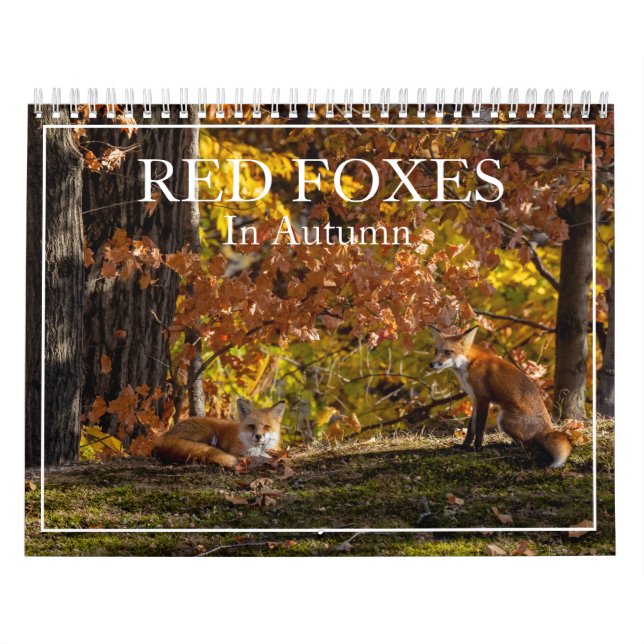Fler röda foxar i höstkalender kalender (Omslag)