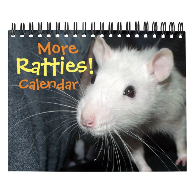 Fler trosor! (liten) kalender (Omslag)
