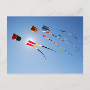 Flera Färg Long Svan Kites Vykort