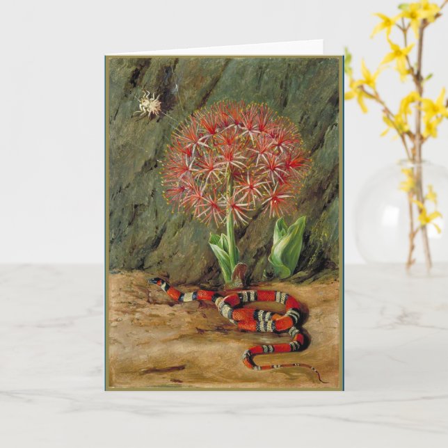 Flerårig korallorm och spider kort (Gul blomma)