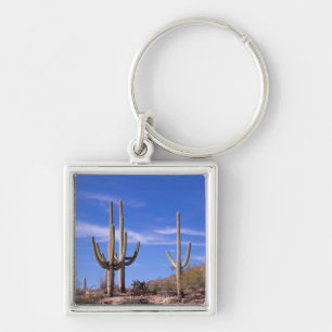 Flerarmet jätte Saguaro kaktus, Saguaro Fyrkantig Silverfärgad Nyckelring