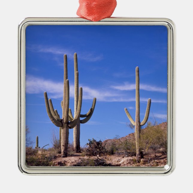 Flerarmet jätte Saguaro kaktus, Saguaro Julgransprydnad Metall (Framsidan)