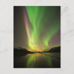Flerfärgad Aurora Vykort