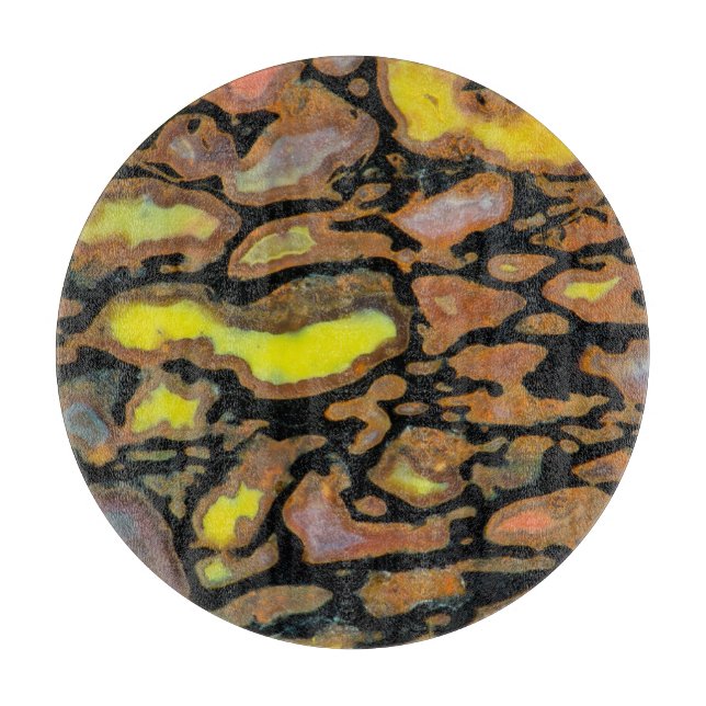 Flerfärgad dinosaurie-ben (Framsidan)