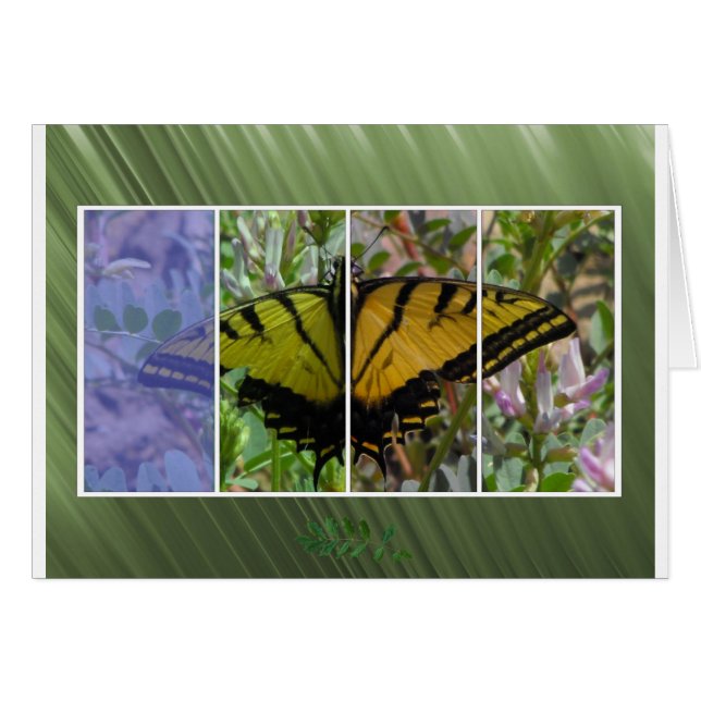 Flerfärgad fjäril hälsningskort (Framsidan Horizontal)